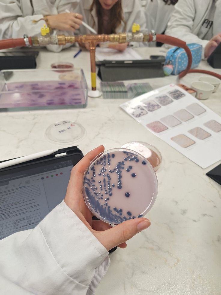 Biomed Aesthetic